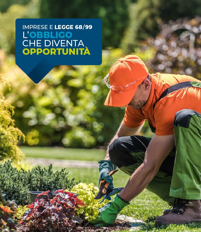 Servizio di consulenza che consente alle imprese di ottemperare agli obblighi di Legge 68/99